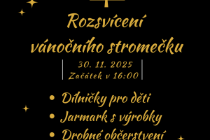 Rozsvícení vánočního stromečku
