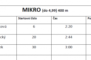 mikro