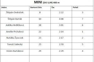 mini